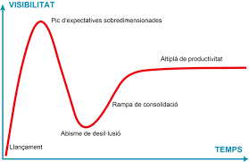 Gartner-hype-cycle-Cat.png