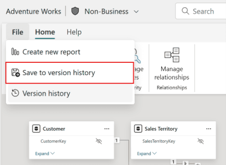 Screenshot of a data management software interface showing the Home tab with options like 'Create new report' and 'Save to version history,' alongside data models for Customer and Sales Territory